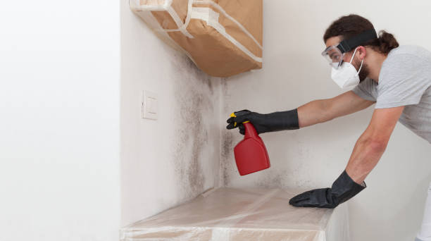 Professional Bathroom Mold Removal technician working in Kingston, NJ