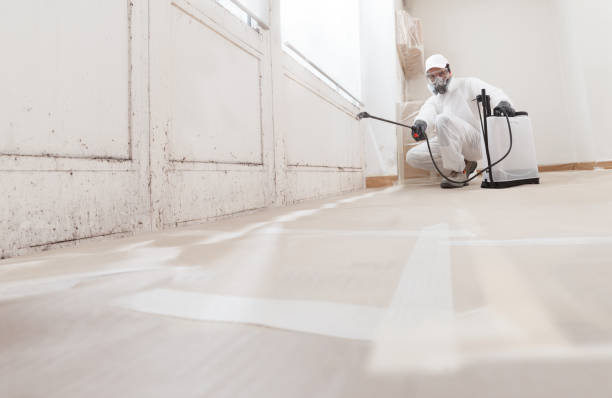 24/7 Emergency Bathroom Mold Removal experts in Kingston, NJ