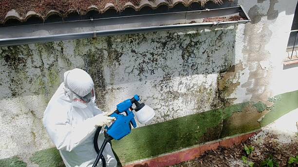 Top rated local Bathroom Mold Removal specialists in Kingston, NJ